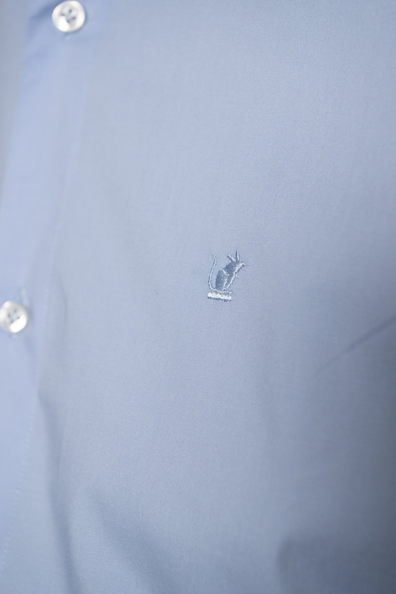 Camicia Collo Italiano Celeste Ratòn (mini logo)